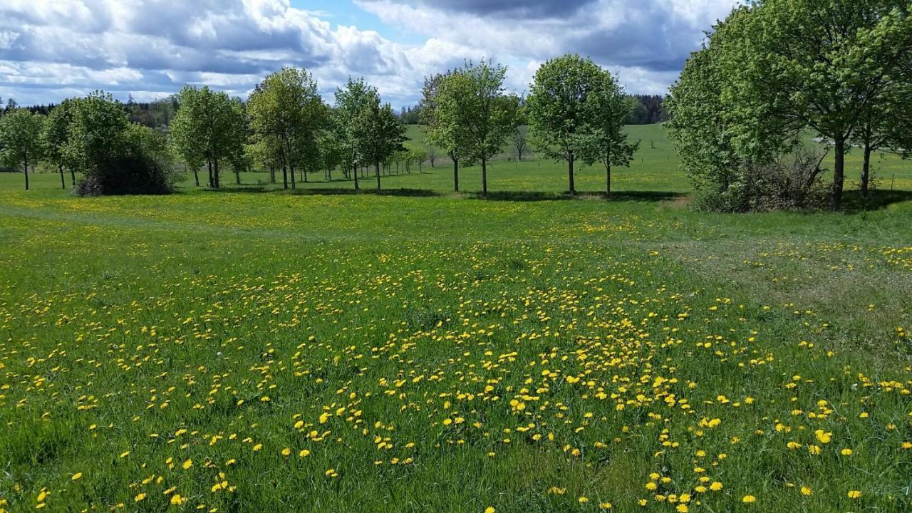 Harzquartier Lägenhet Friedrichsbrunn Exteriör bild