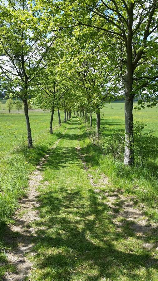 Harzquartier Lägenhet Friedrichsbrunn Exteriör bild