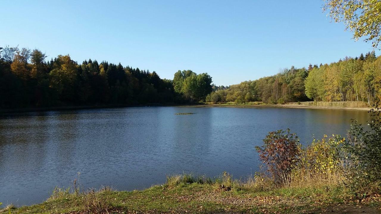 Harzquartier Lägenhet Friedrichsbrunn Exteriör bild